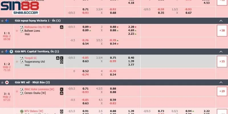 Cá cược bóng chuyền tại BTI Sports